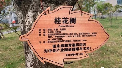 “種”希望！綠化中普，共建美麗家園